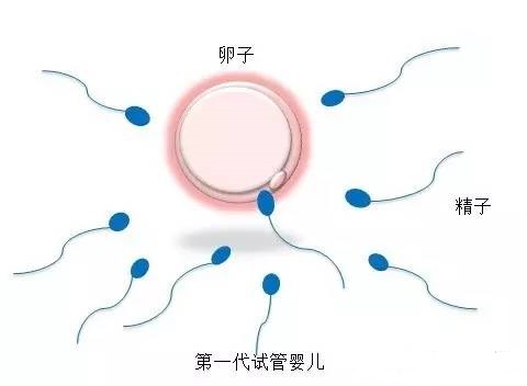借卵代孕哪里做的最好